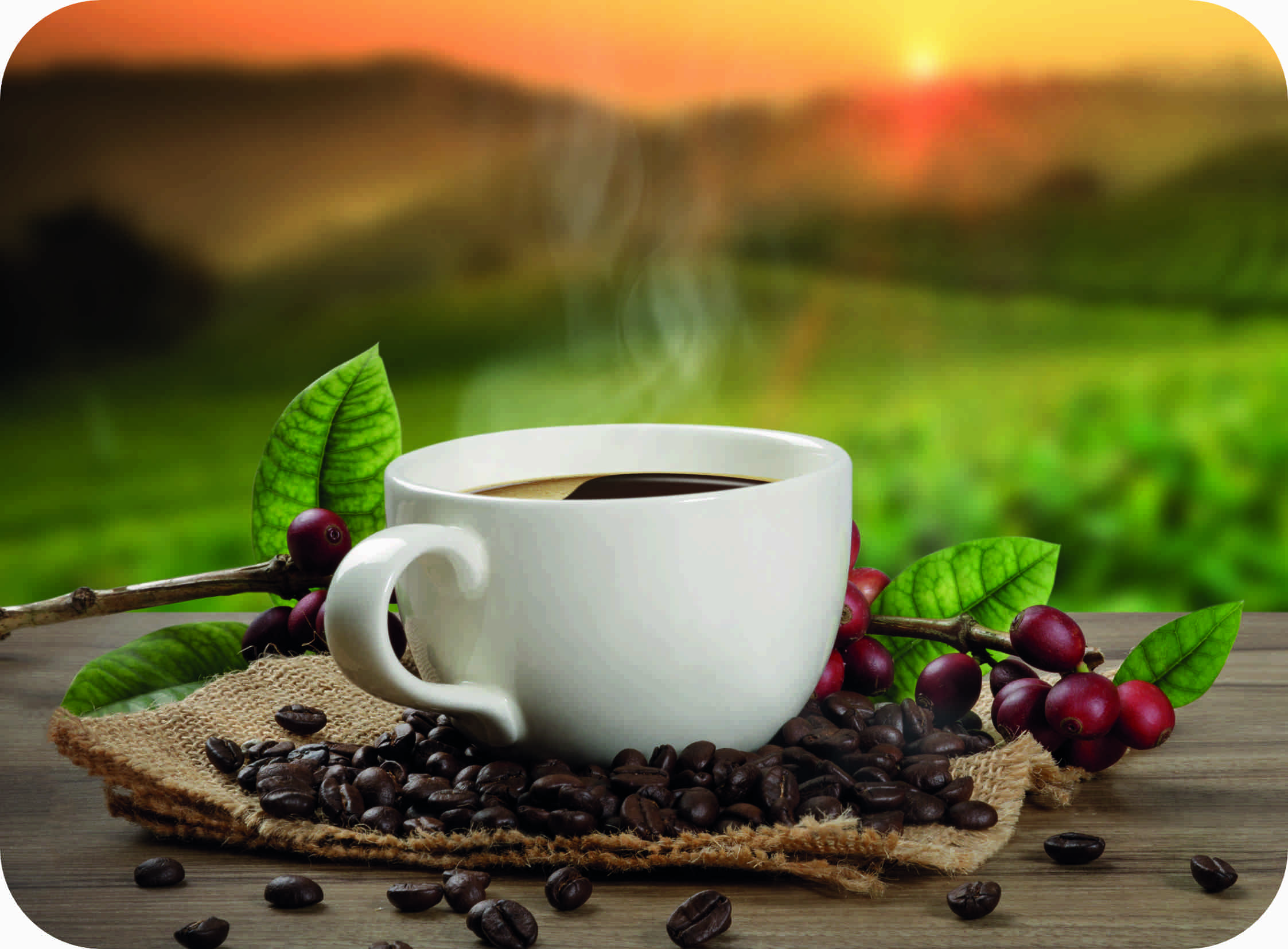 Café nicaragüense